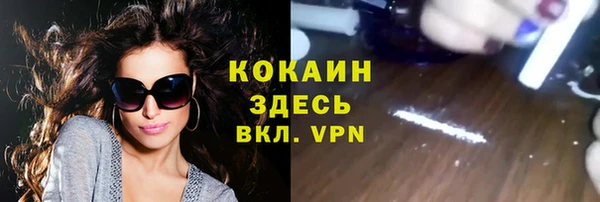 дурь Туринск
