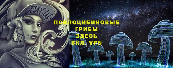 ПСИЛОЦИБИНОВЫЕ ГРИБЫ Абинск
