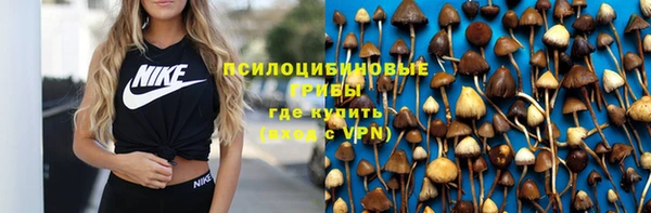 ПСИЛОЦИБИНОВЫЕ ГРИБЫ Абинск