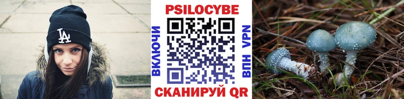 Галлюциногенные грибы MAGIC MUSHROOMS  Воронеж 