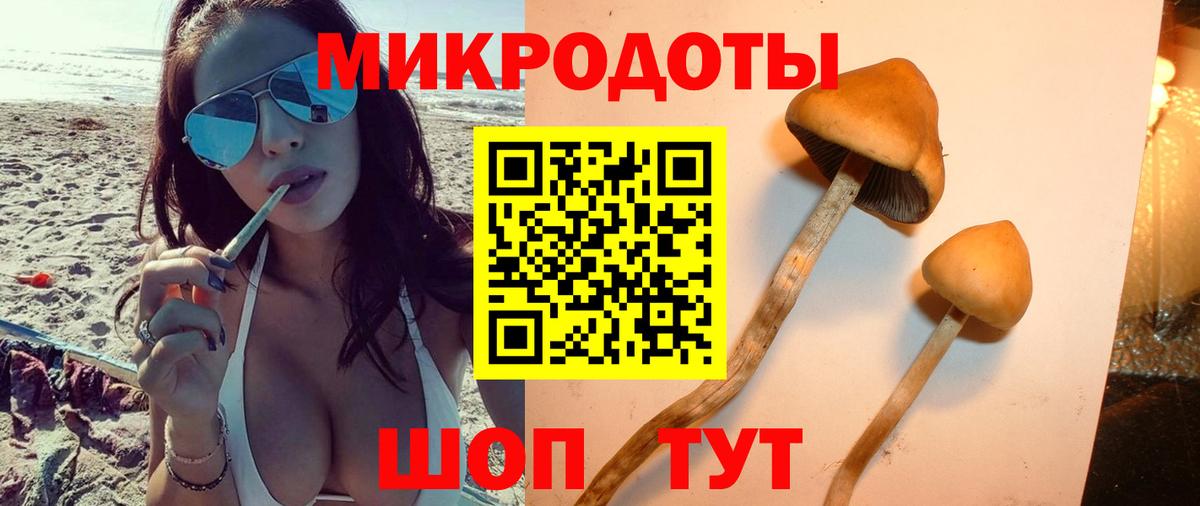 Галлюциногенные грибы мухоморы Воронеж